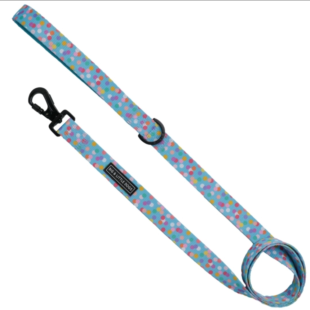 Polka Dot Leash & Bowtie set. NWT